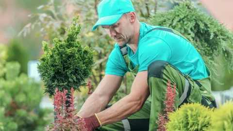 Jardineiro | Dona Help Jardineiro | Dona Help